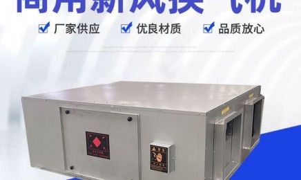 吊顶式新风换气机 净化型家用商用吊顶式新风换气机 空气过滤式全热交换器